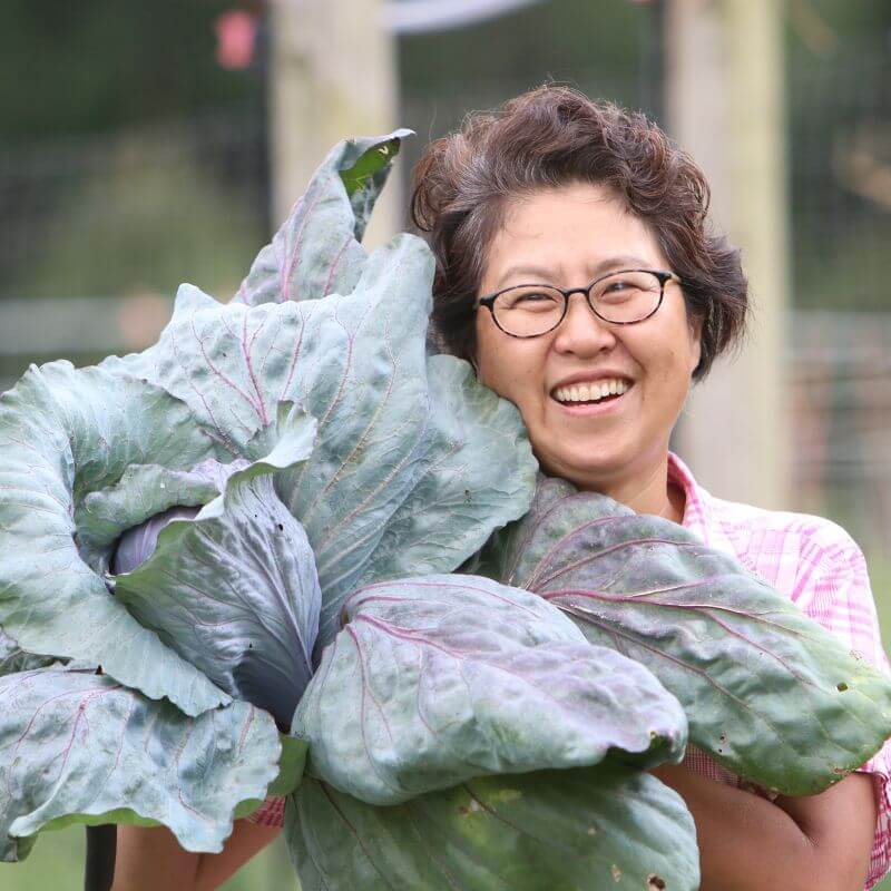 Women holding large bunch of lettuce