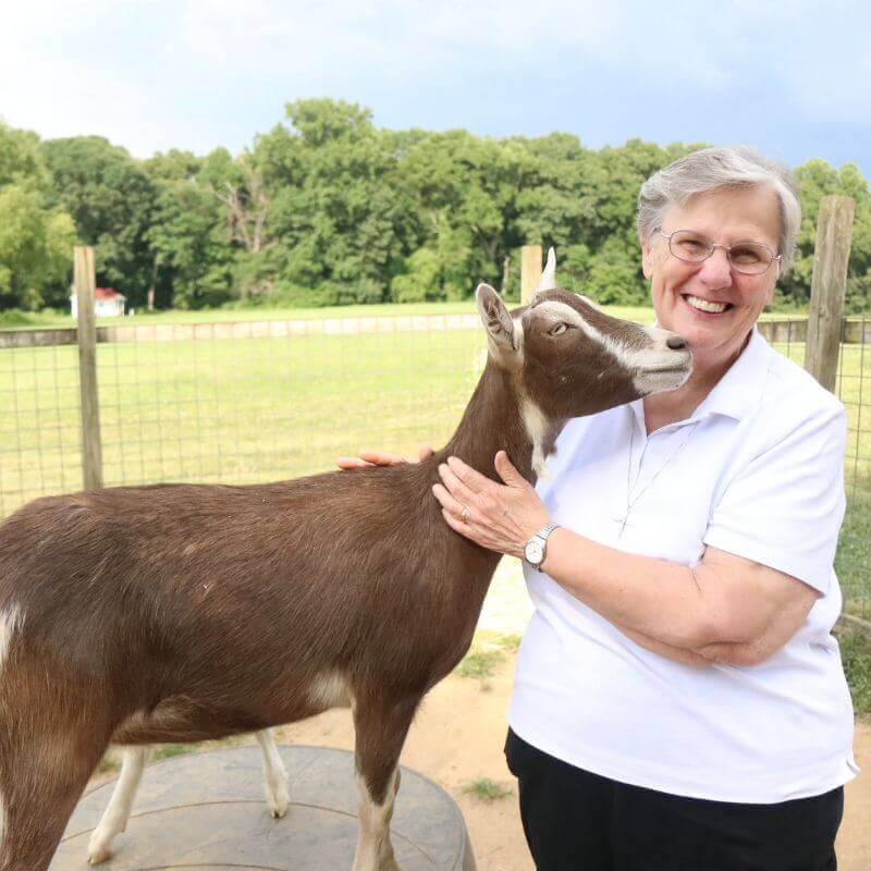 Sr. Ellen and the goats